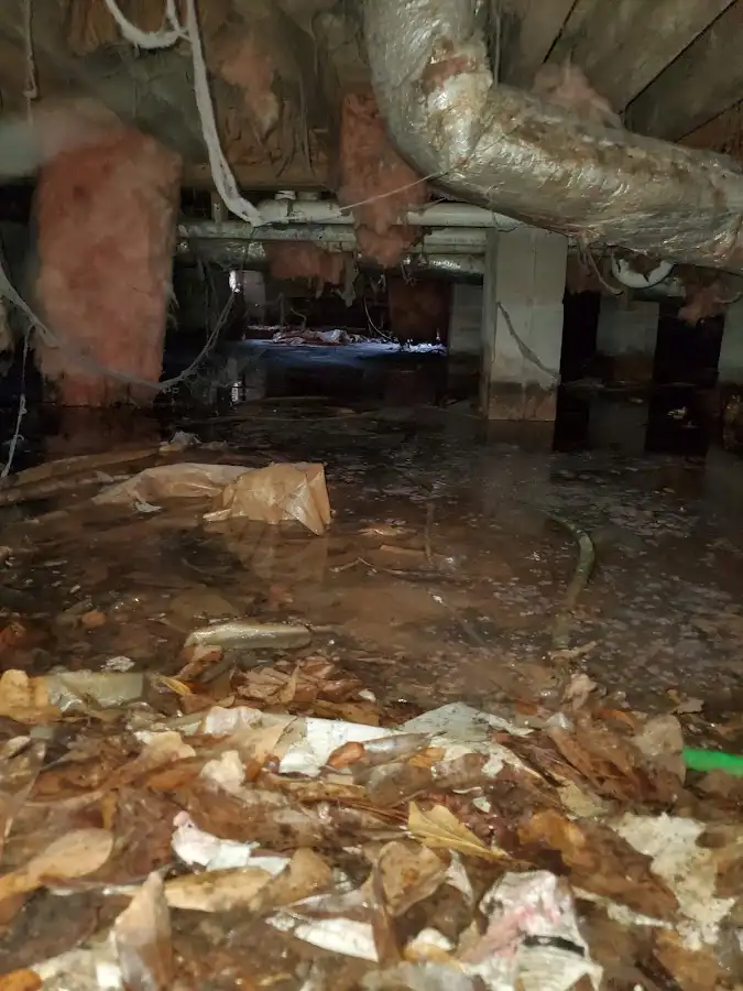 Crawl space flood assessment for Leak Detection & Repair in Milford